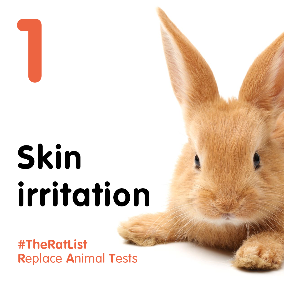 Replace Animal Tests The RAT List Cruelty Free Europe